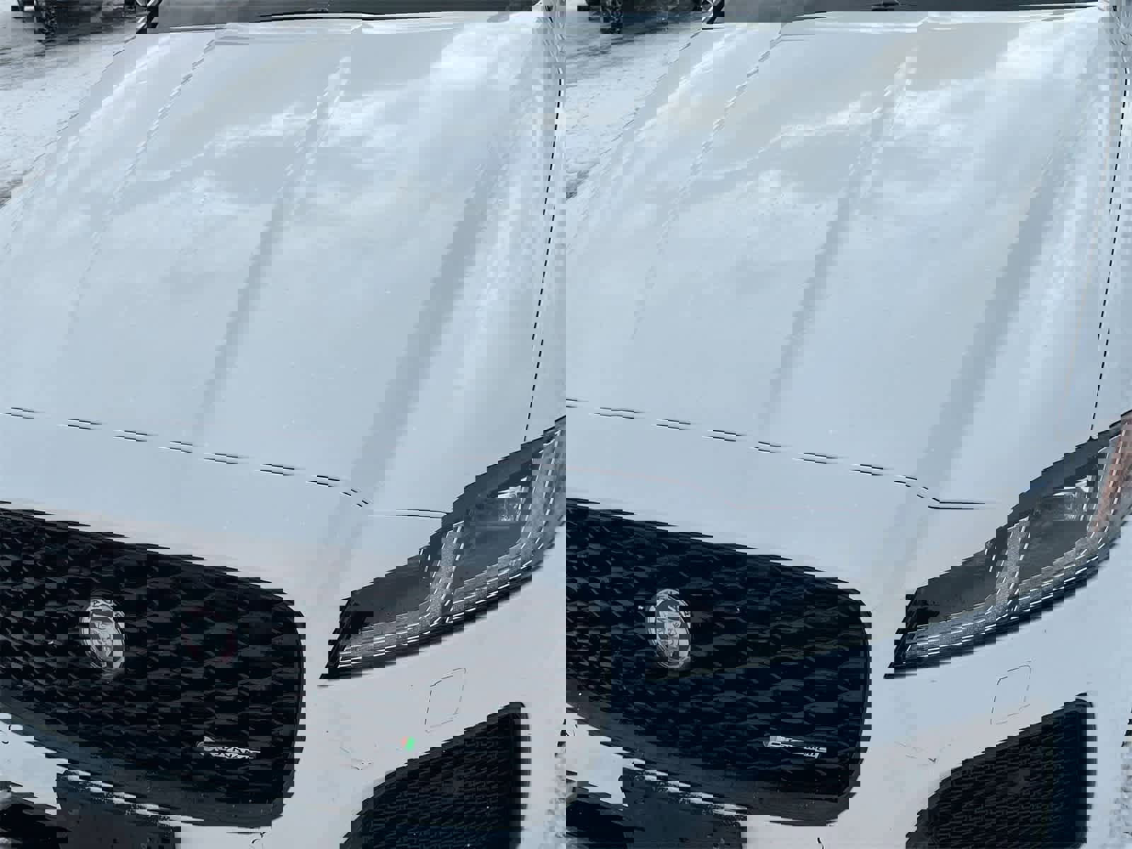 Used 2022 Jaguar XF R-Dynamic SE image 11