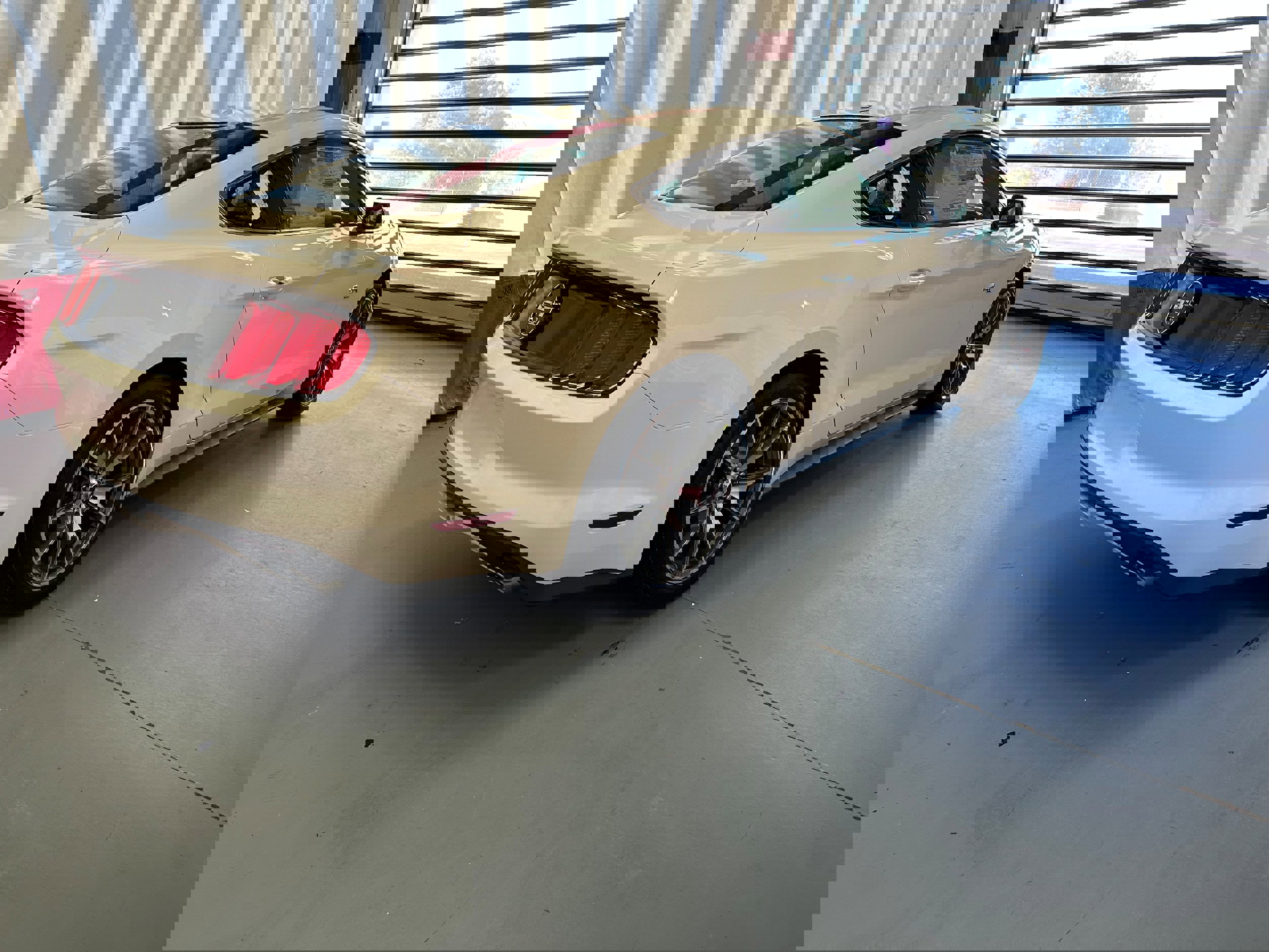 Used 2015 Ford Mustang 50 Years image 3