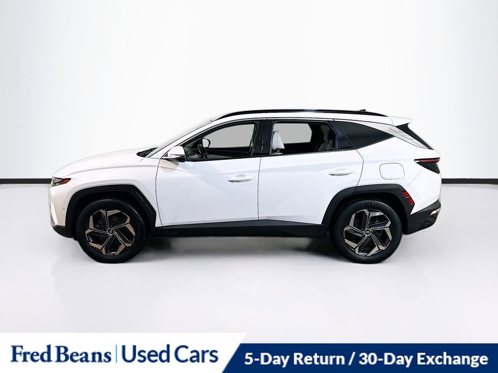 Used 2023 Hyundai Tucson Limited image 5