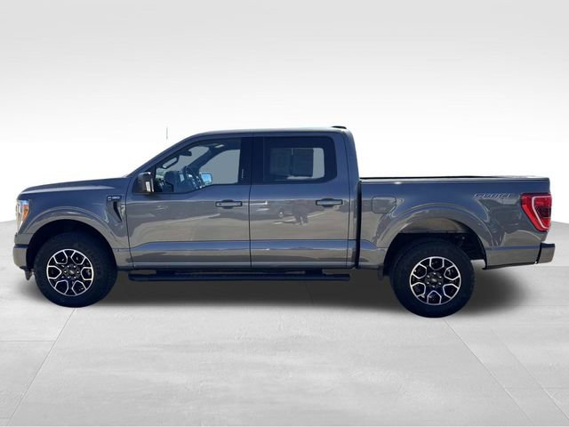 Used 2023 Ford F150 XLT w/ Equipment Group 302A High image 6