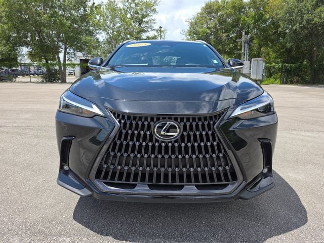 Used 2023 Lexus NX 250 FWD w/ Cold Area Package image 8