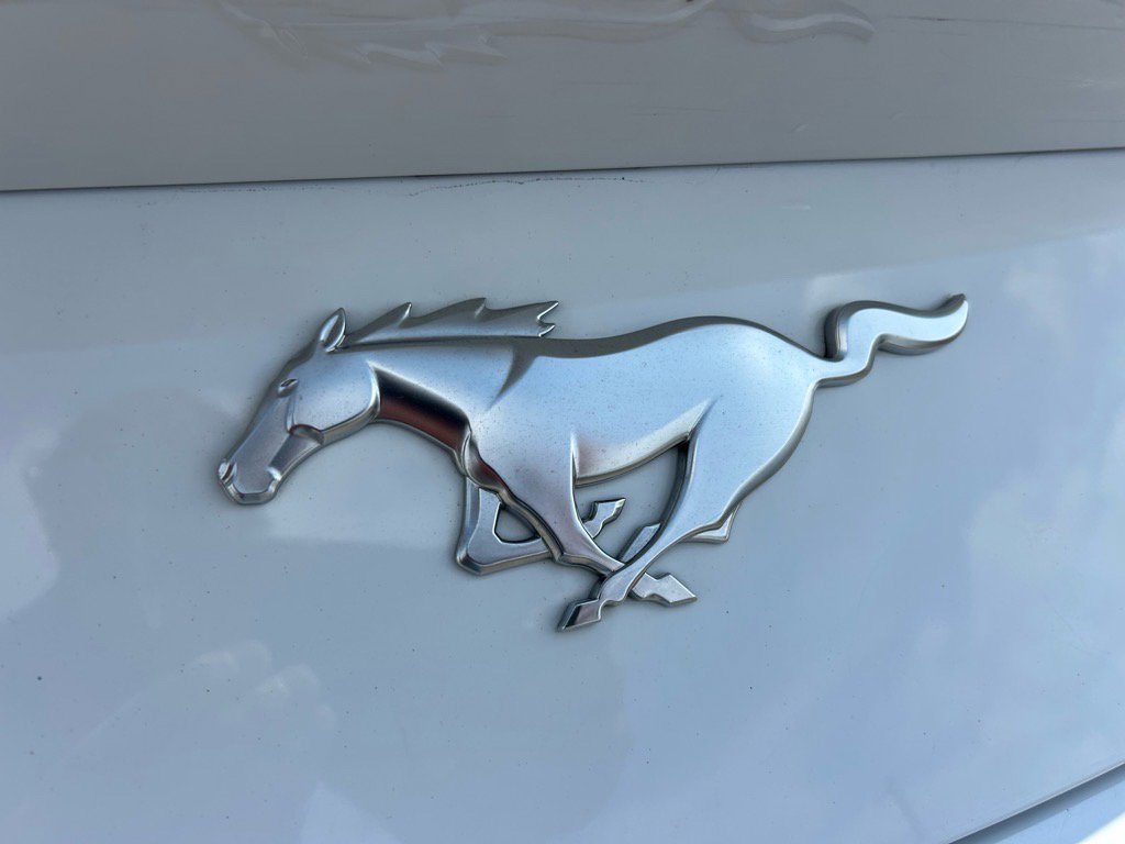 Used 2024 Ford Mustang Premium image 7