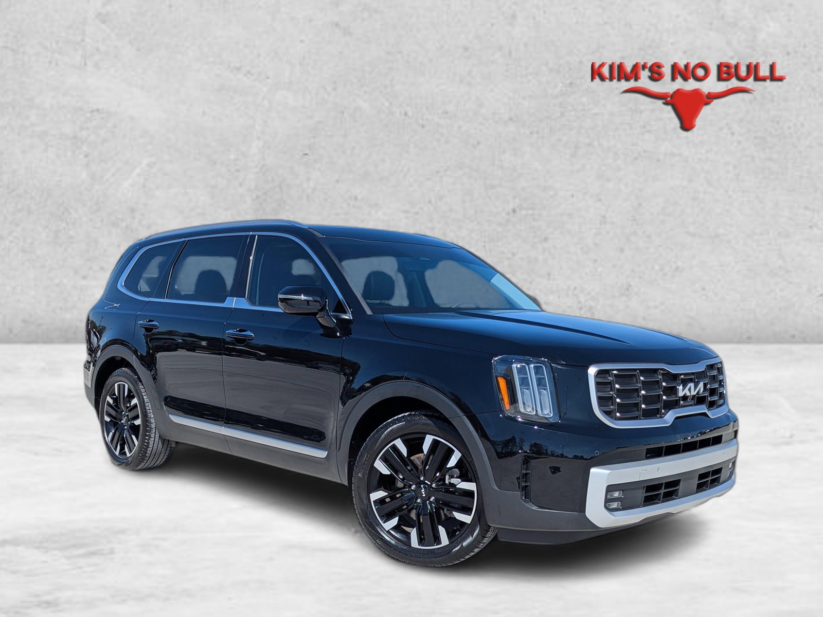 Used 2025 Kia Telluride SX image 1