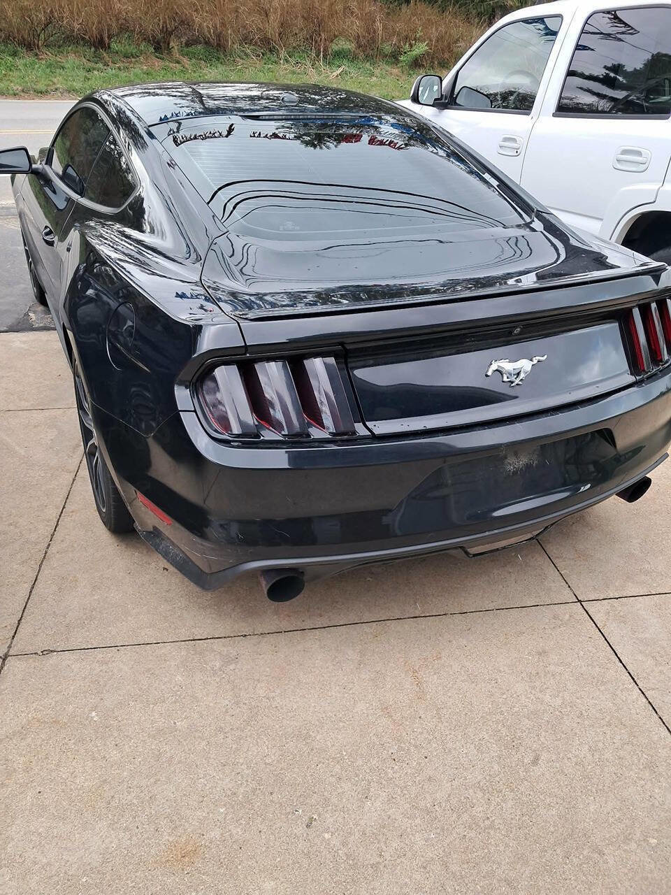 Used 2017 Ford Mustang Premium w/ Equipment Group 201A image 3
