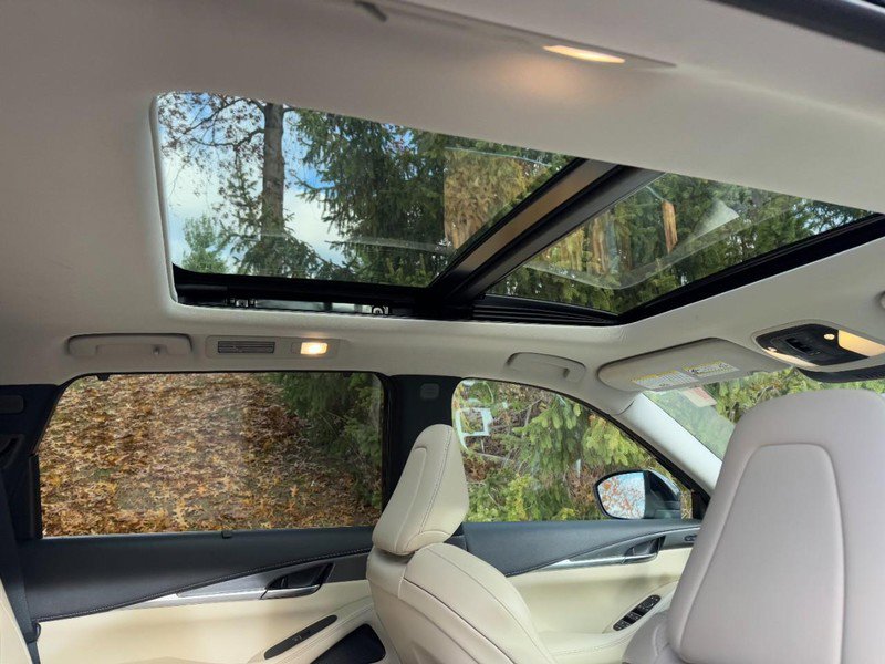Used 2023 INFINITI QX60 Luxe w/ Cargo Package image 11