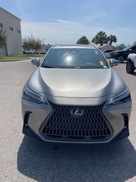 Used 2024 Lexus NX 350 NX 350 Luxury w/ Vision Package image 6