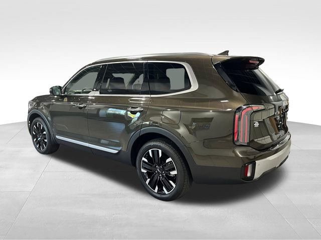Used 2024 Kia Telluride SX FWD image 5