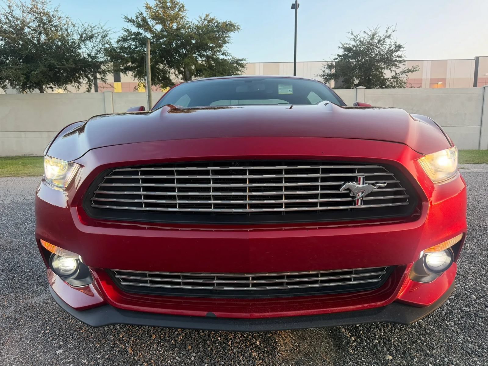 Used 2016 Ford Mustang Premium w/ Equipment Group 201A RWD image 24