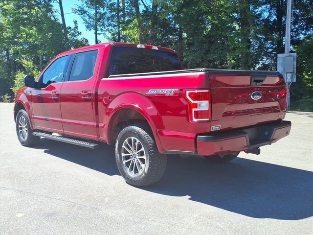 Used 2019 Ford F150 XLT w/ Equipment Group 302A Luxury AWD/4WD image 7
