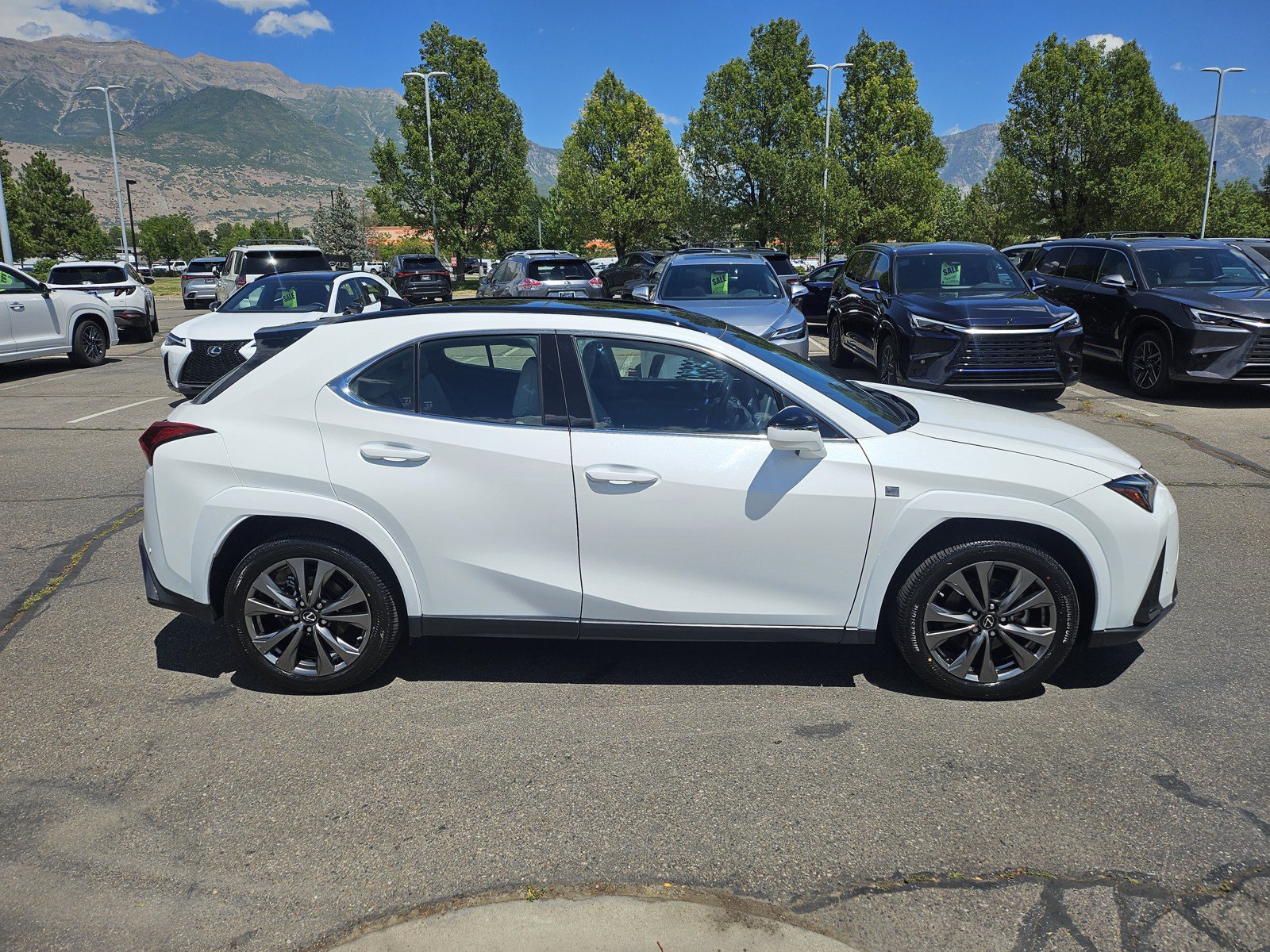 Used 2024 Lexus UX 250h F Sport AWD/4WD image 4