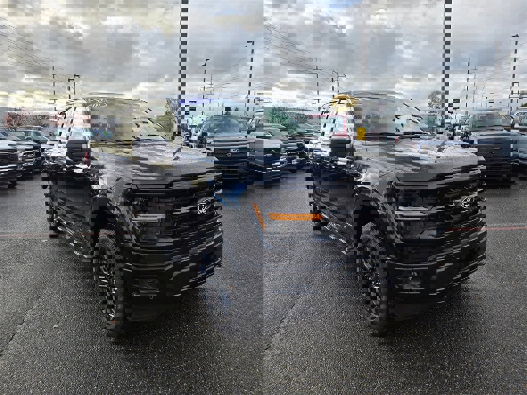 New 2025 Ford F150 XLT w/ Equipment Group 302A MID image 3