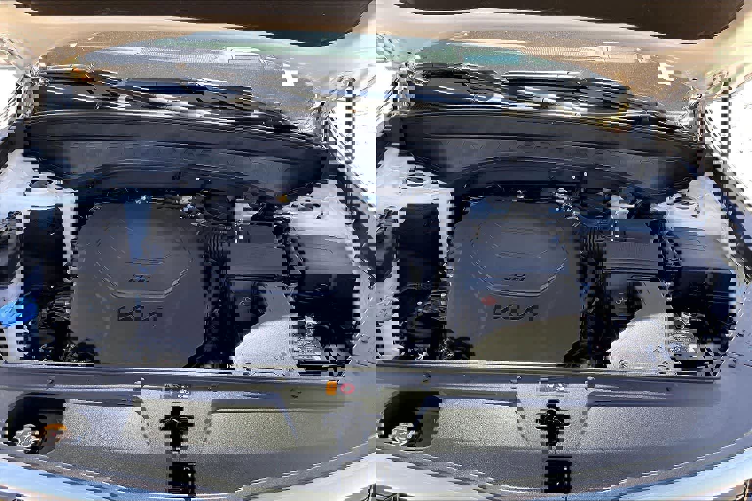 Used 2024 Kia Telluride SX Prestige image 9