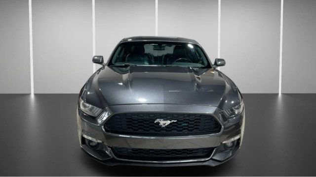 Used 2017 Ford Mustang Premium w/ Equipment Group 201A image 2