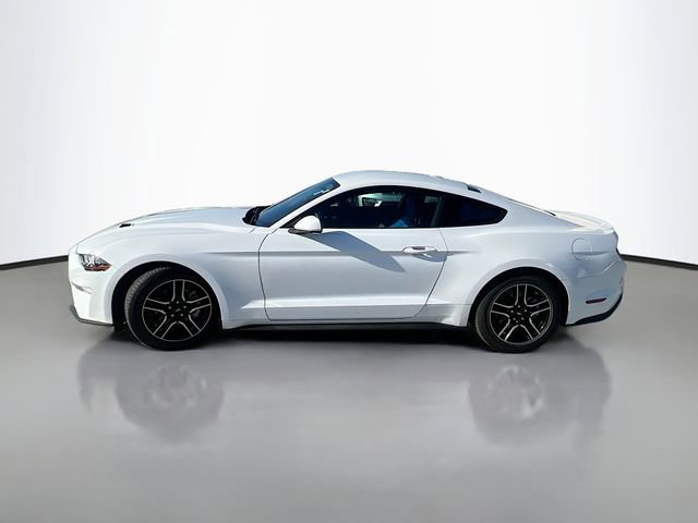 Used 2023 Ford Mustang Premium RWD image 5