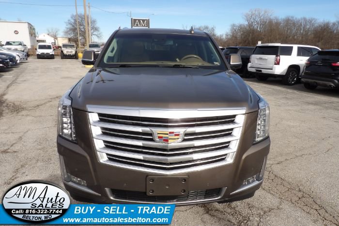 Used 2015 Cadillac Escalade Platinum image 8