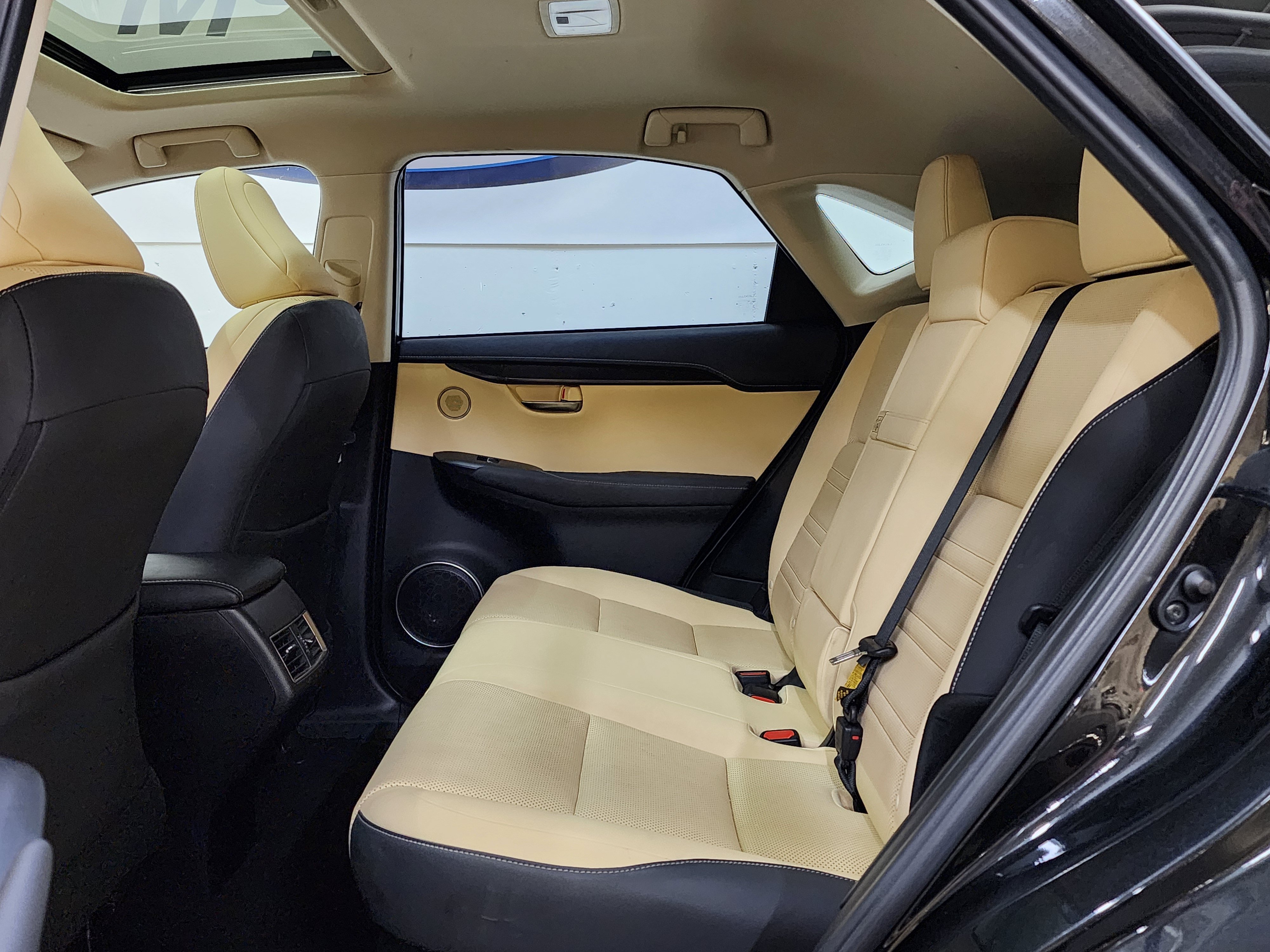 Used 2019 Lexus NX 300h AWD w/ Premium Package image 18