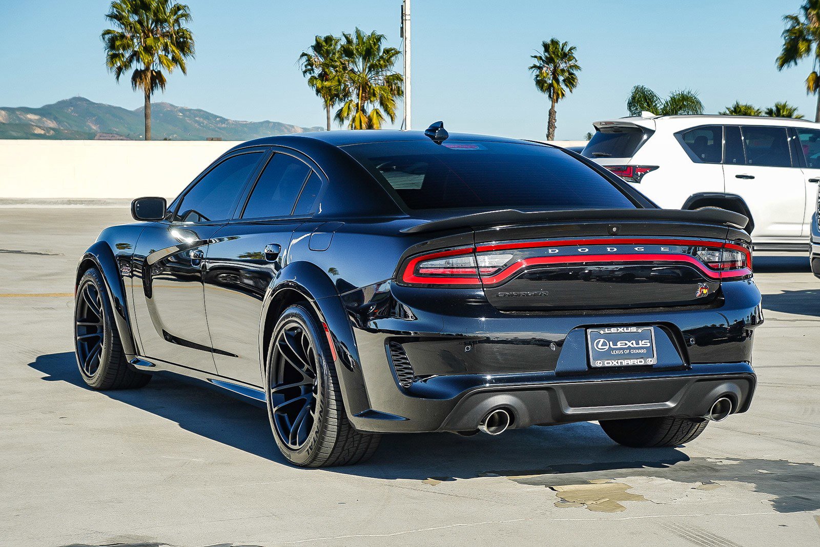 Used 2023 Dodge Charger Scat Pack image 5