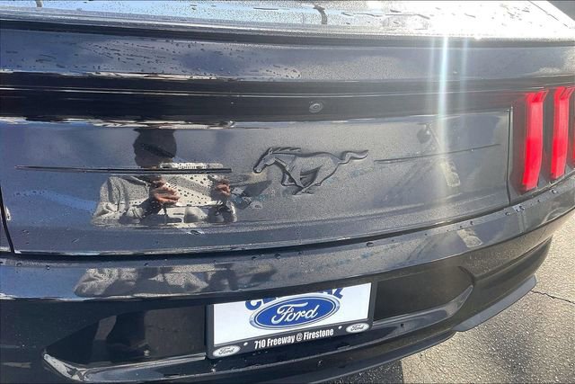 Certified 2023 Ford Mustang EcoBoost w/ Mustang Nite Pony Package image 8