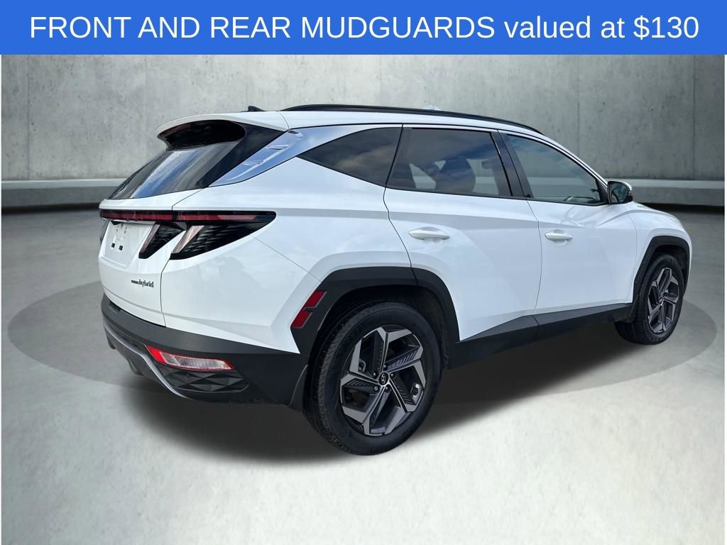 Used 2024 Hyundai Tucson Limited image 7