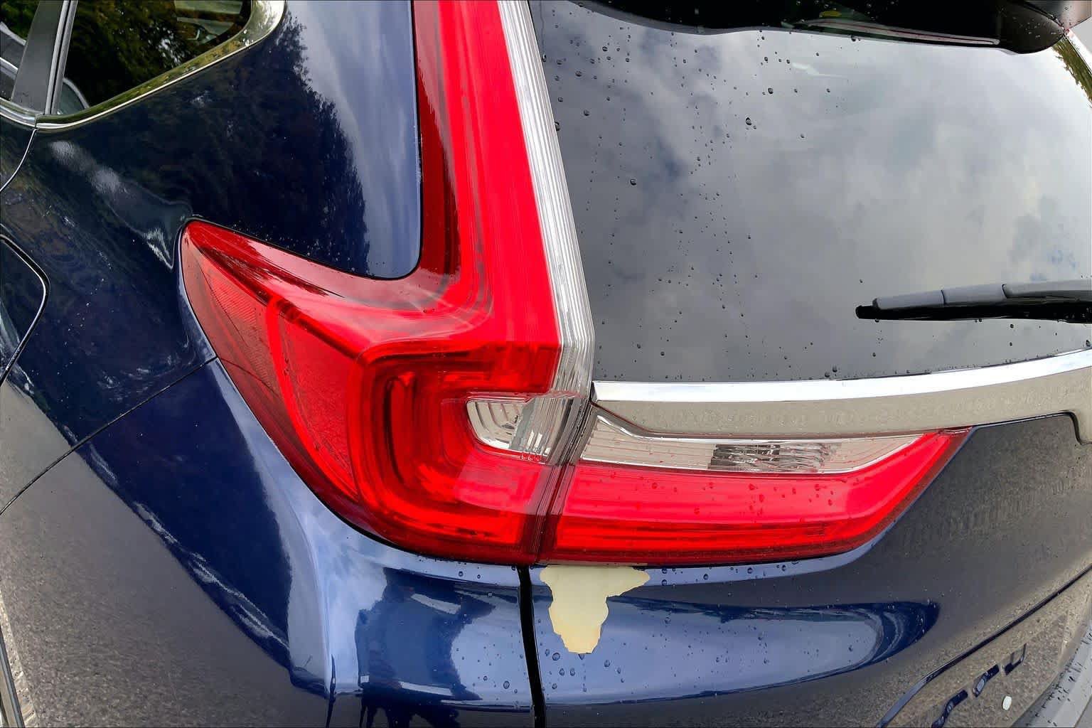 Certified 2019 Honda CR-V EX image 28