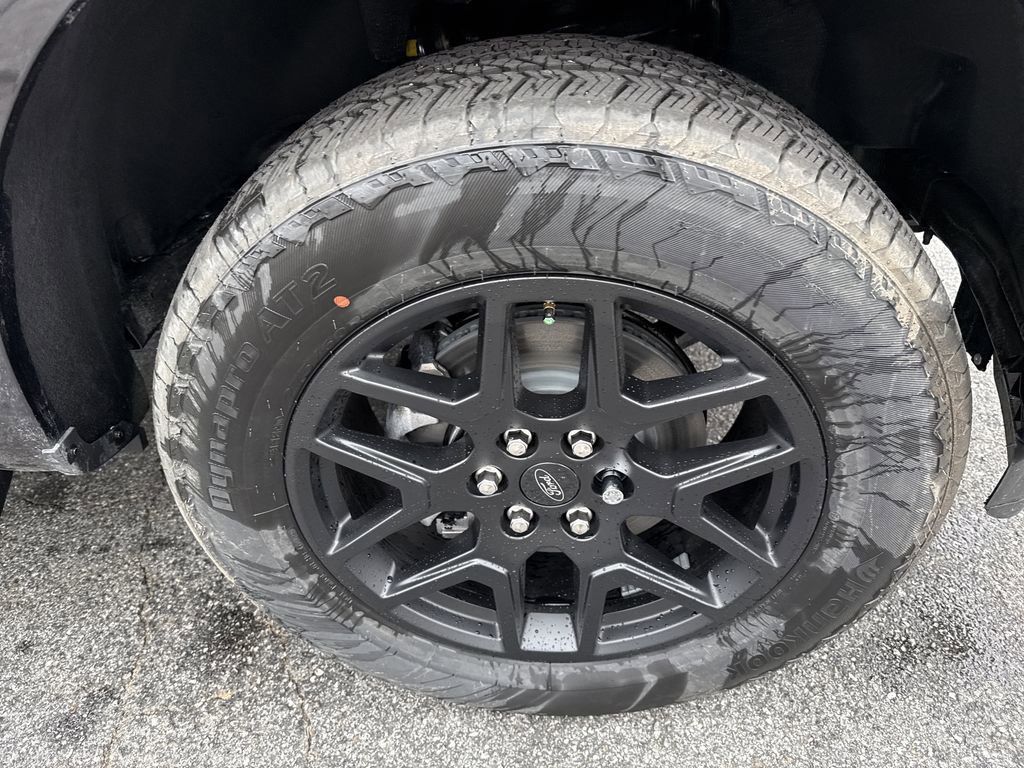 New 2025 Ford F150 STX w/ STX Black Appearance Package image 13