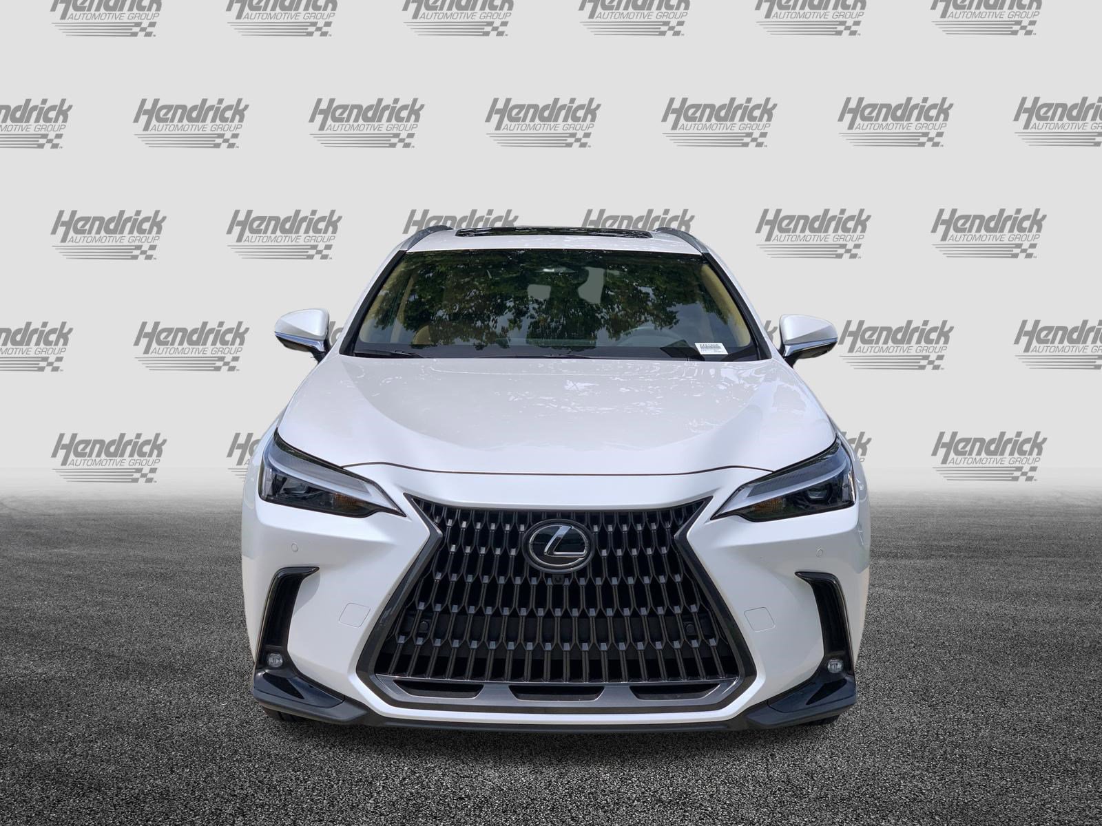 Certified 2025 Lexus NX 350 AWD w/ Cold Area Package image 3