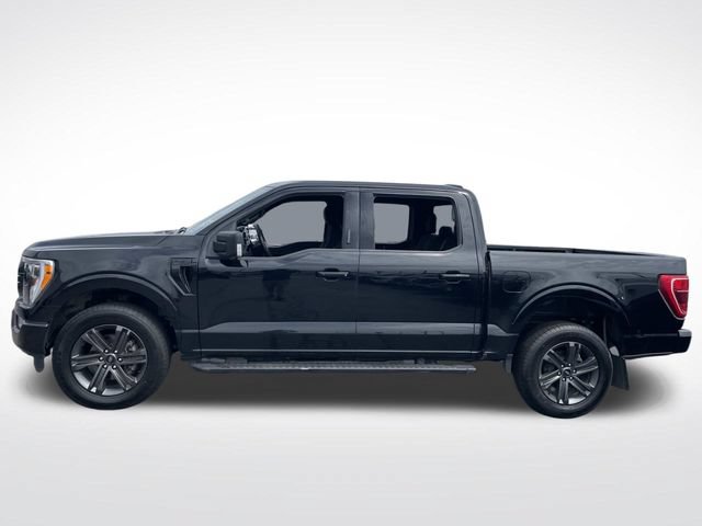 Used 2023 Ford F150 XLT w/ Equipment Group 302A High AWD/4WD image 2