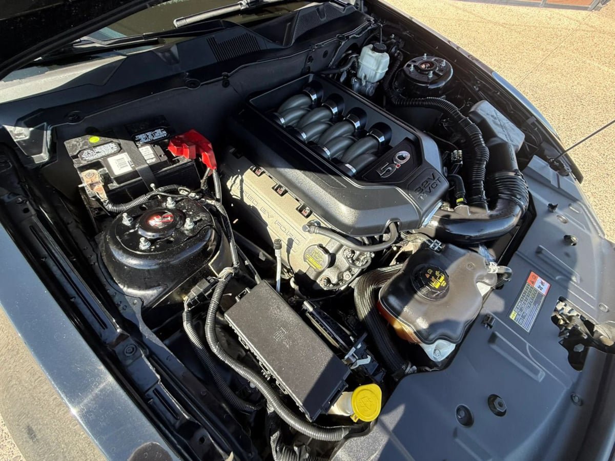 Used 2014 Ford Mustang GT w/ Equipment Group 301A RWD image 24