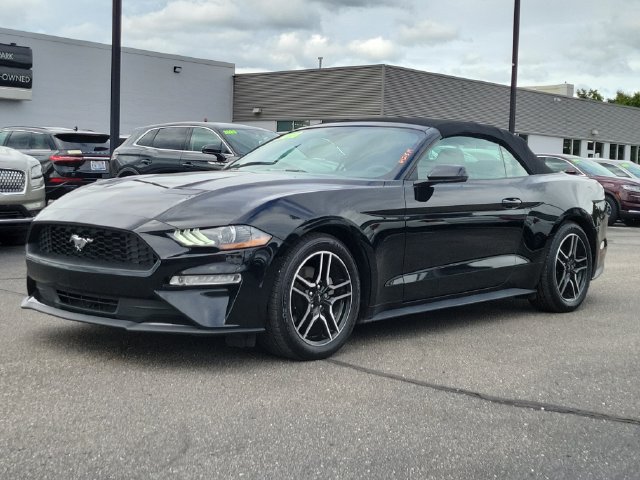 Used 2018 Ford Mustang Premium w/ Equipment Group 201A RWD image 2