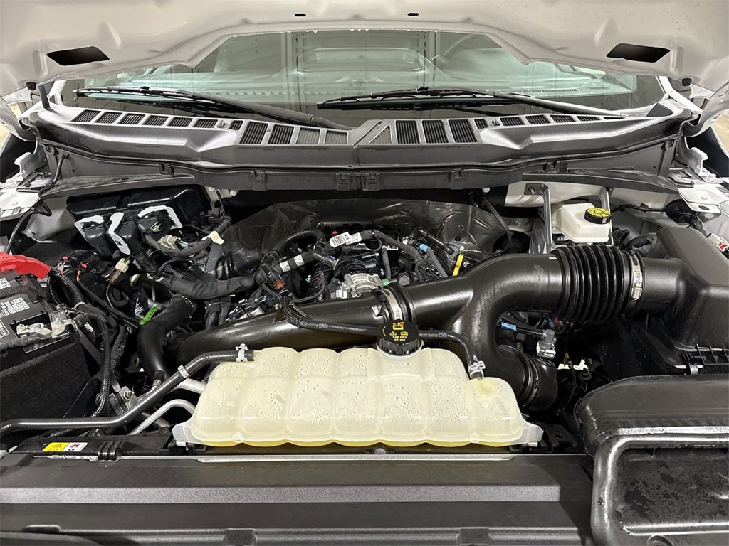 Used 2025 Ford F150 XLT w/ Equipment Group 301A Standard image 24