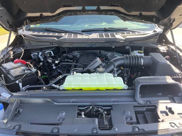 New 2026 Ford F150 XLT w/ Equipment Group 302A MID image 29