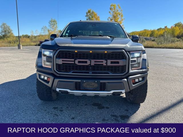 Used 2018 Ford F150 Raptor w/ Equipment Group 802A Luxury image 12