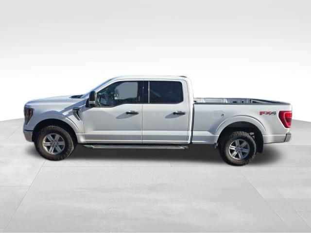 Used 2023 Ford F150 XLT w/ Equipment Group 301A Mid image 3
