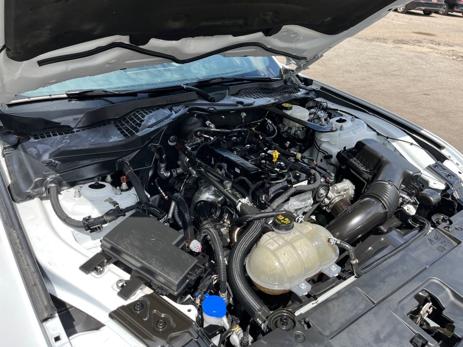 Used 2023 Ford Mustang Premium image 30