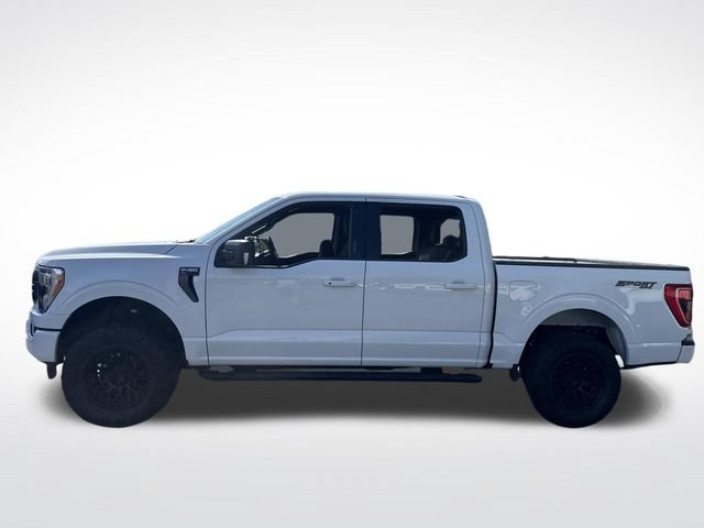 Used 2022 Ford F150 XLT w/ Equipment Group 302A High AWD/4WD image 2