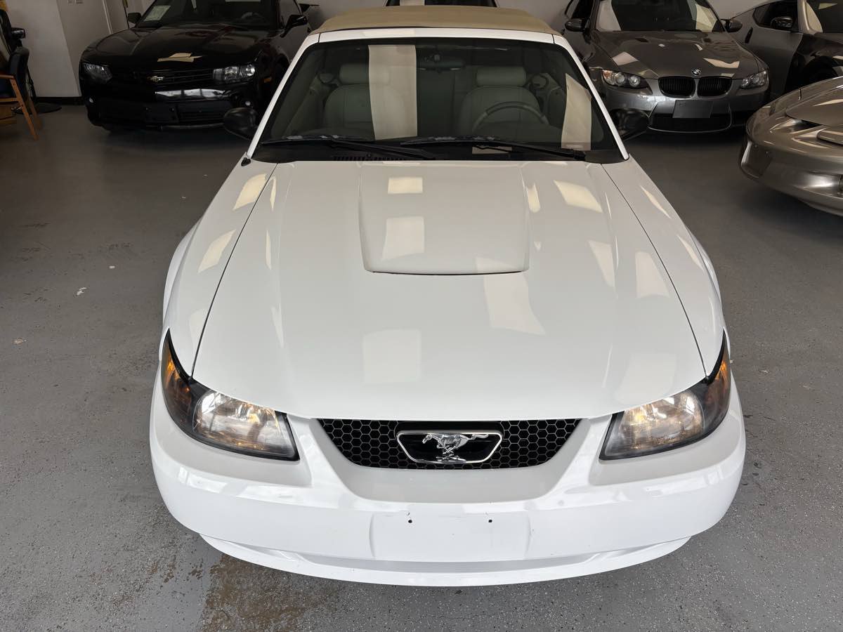 Used 2003 Ford Mustang Convertible RWD image 10