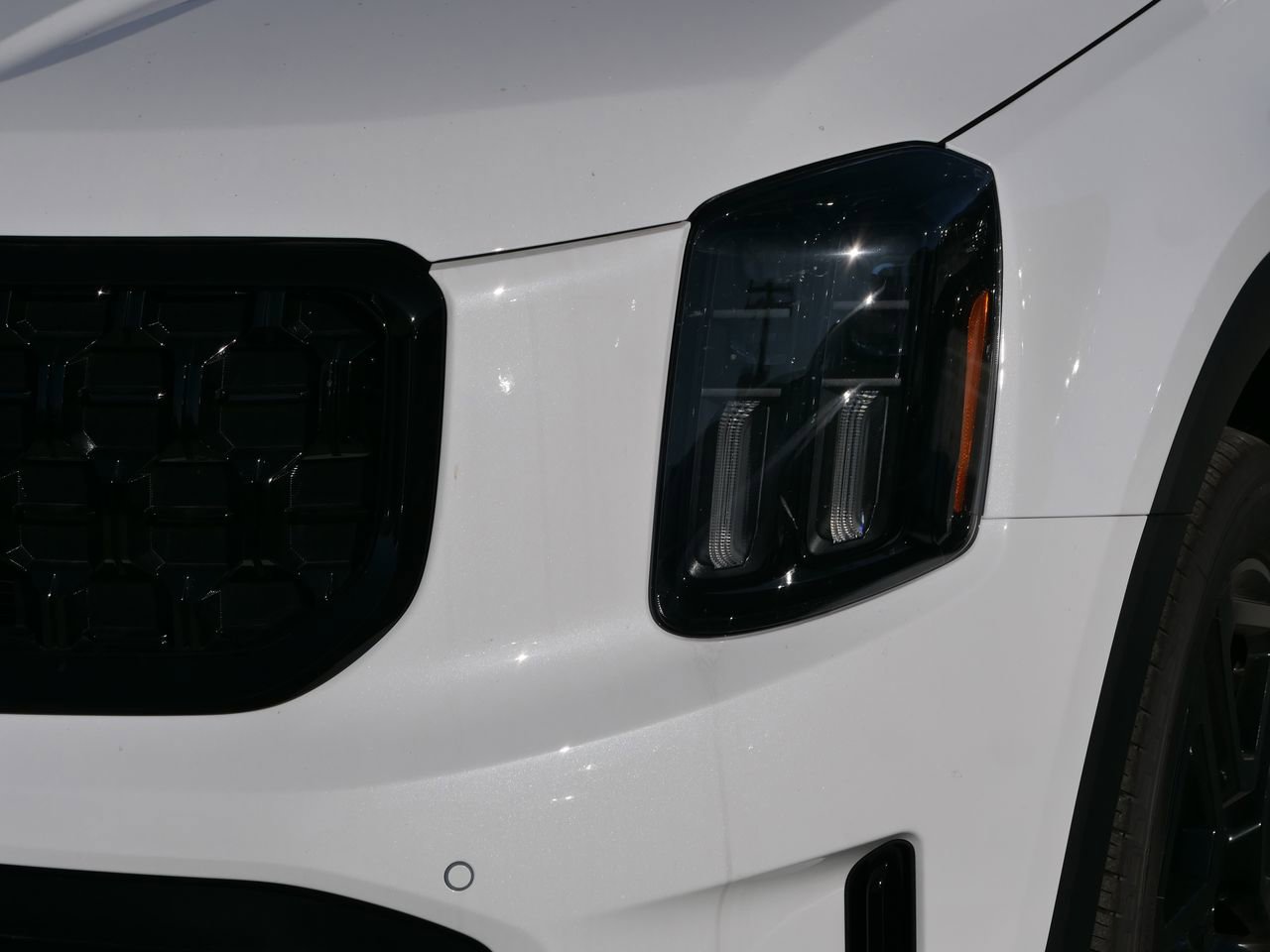 New 2025 Kia Telluride SX Prestige X-Line image 6