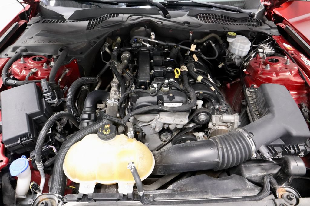 Used 2021 Ford Mustang Coupe w/ Equipment Group 101A RWD image 16