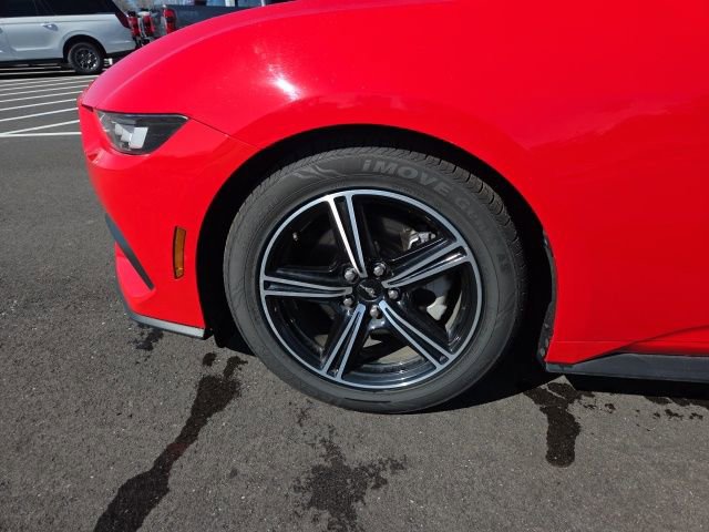 Used 2024 Ford Mustang Premium image 13