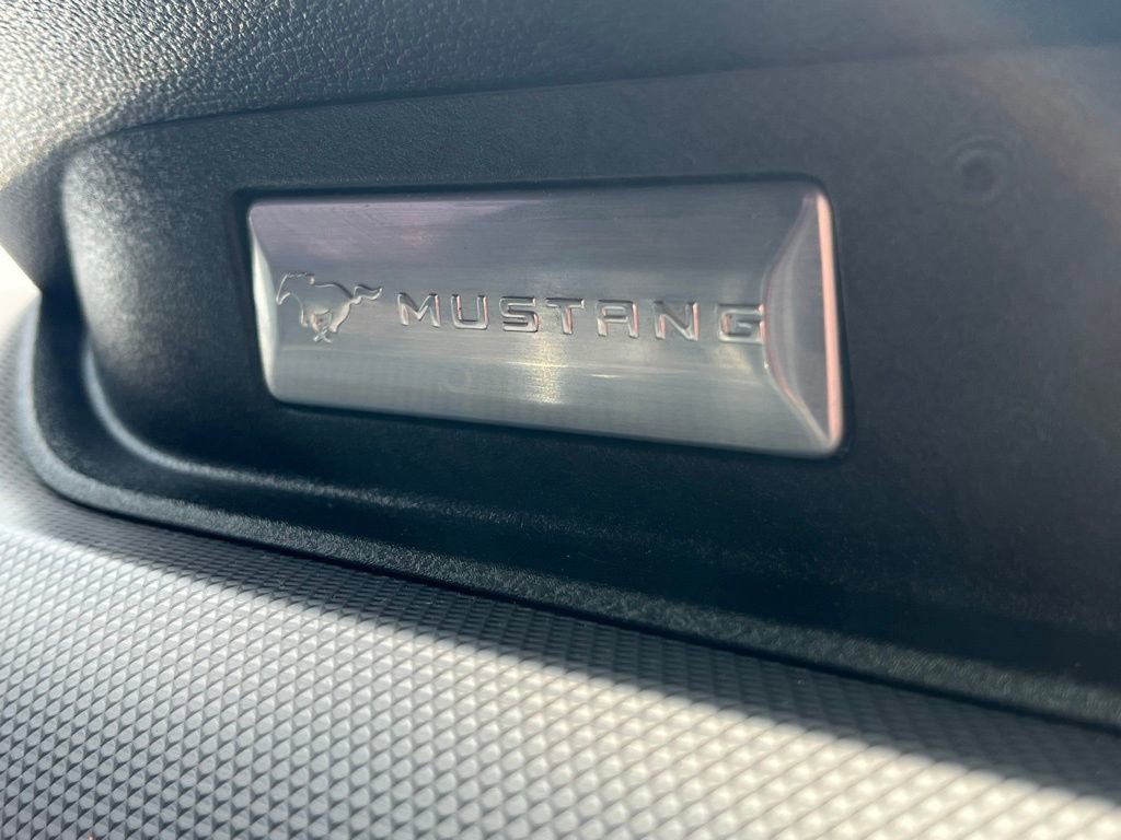 Used 2018 Ford Mustang GT RWD image 20