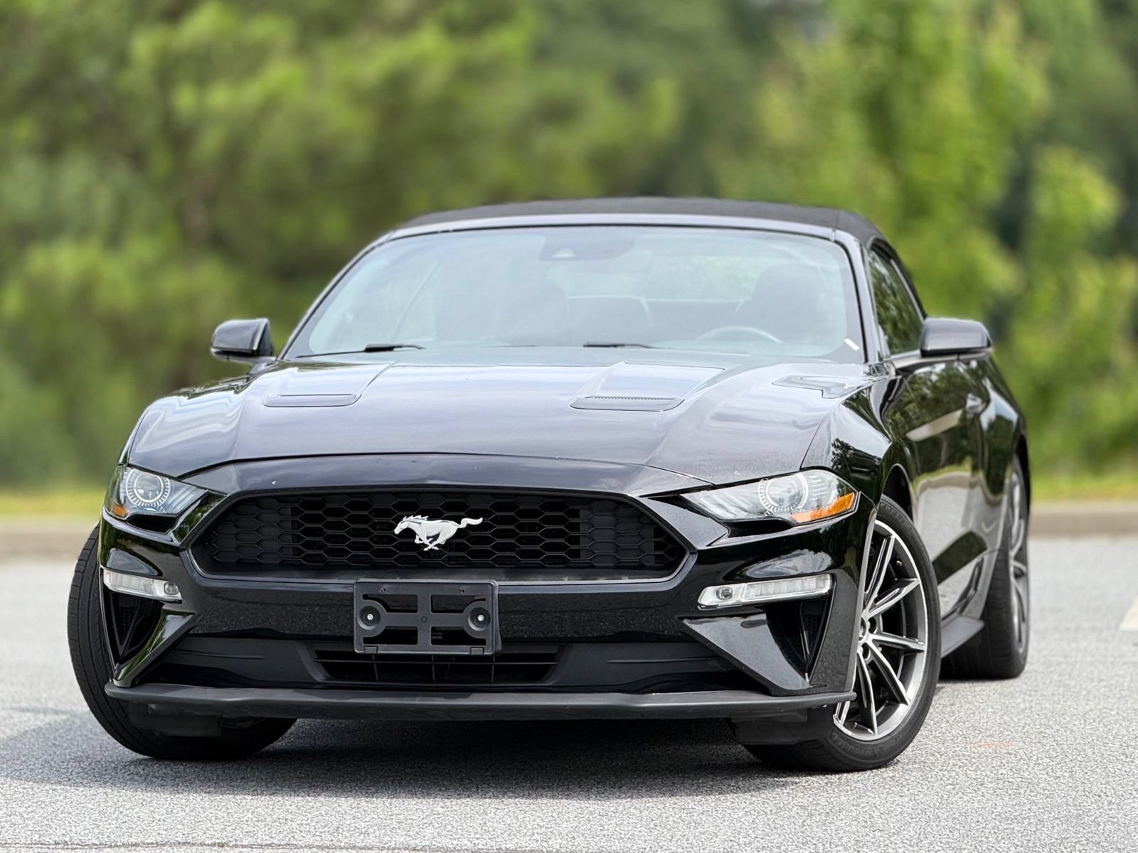 Used 2019 Ford Mustang Premium w/ Equipment Group 201A RWD image 2