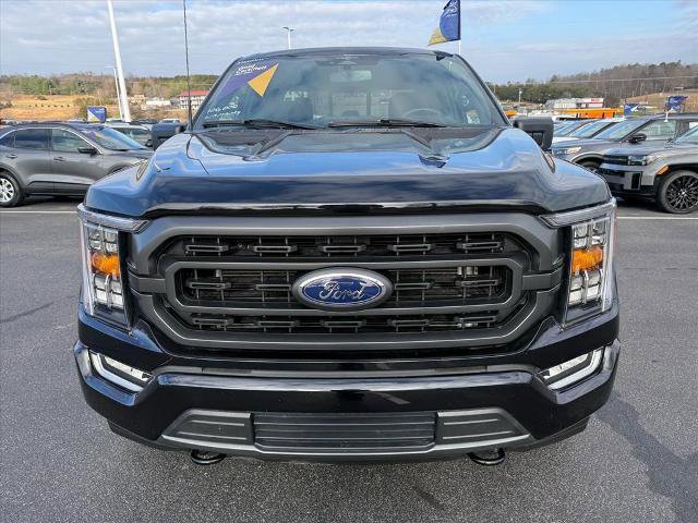 Certified 2023 Ford F150 XLT w/ Equipment Group 302A High image 3