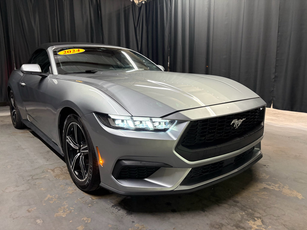 Used 2024 Ford Mustang Premium RWD image 3