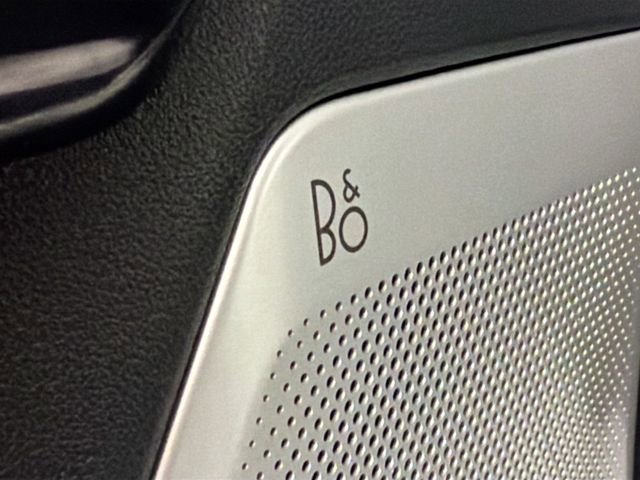 Used 2025 Ford F150 Raptor w/ Equipment Group 803A Raptor R image 19