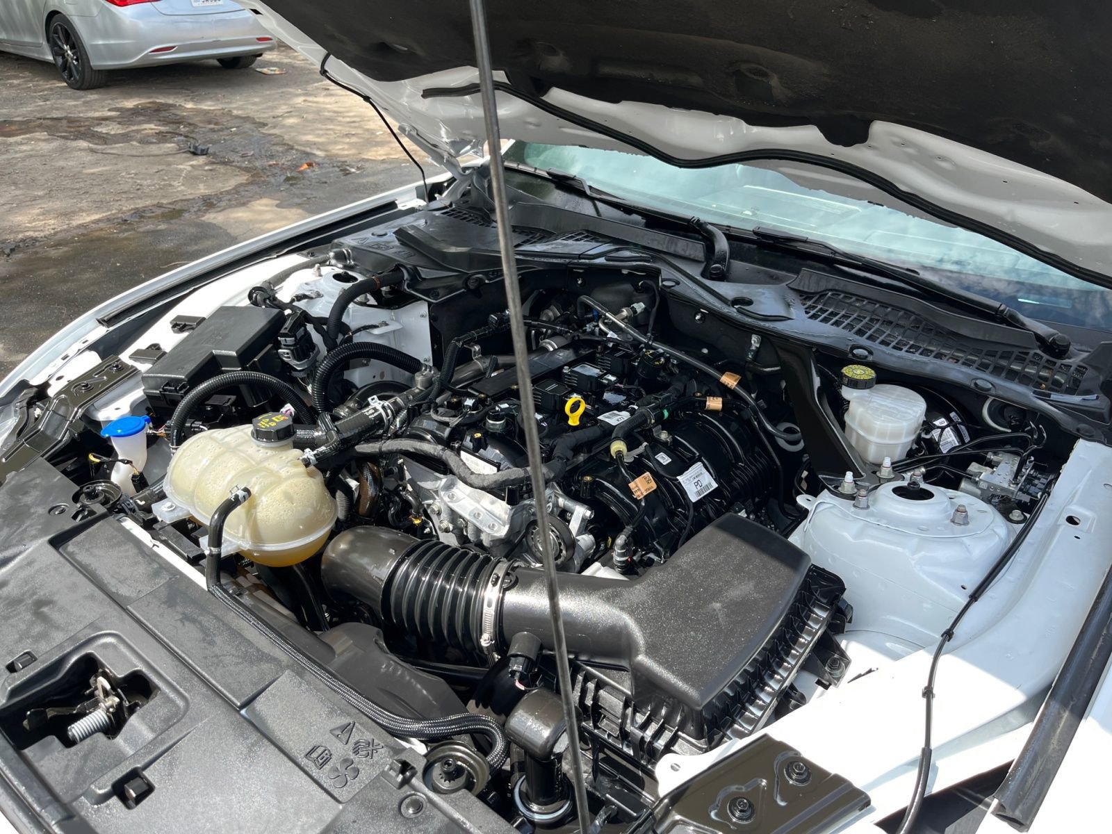 Used 2023 Ford Mustang Premium image 29