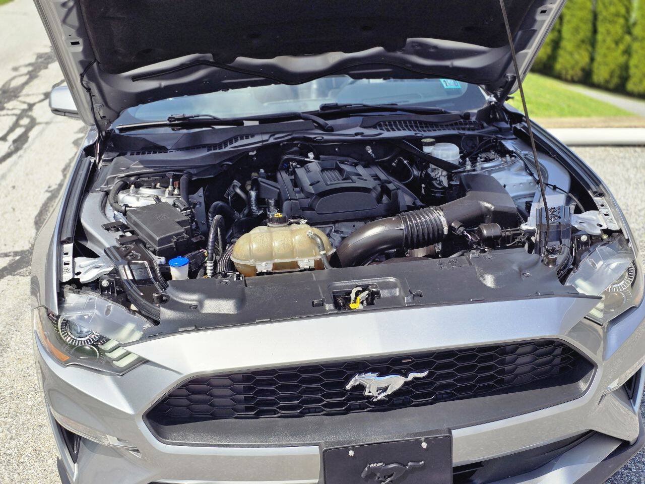 Used 2020 Ford Mustang Premium RWD image 11