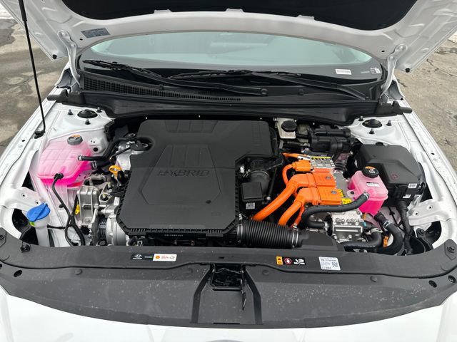 New 2026 Hyundai Elantra Limited image 24