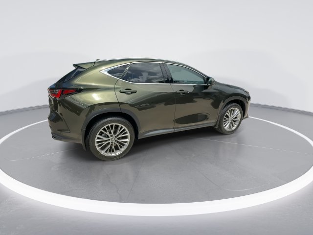 Certified 2026 Lexus NX 350 AWD w/ Accessory Package (2T) image 8