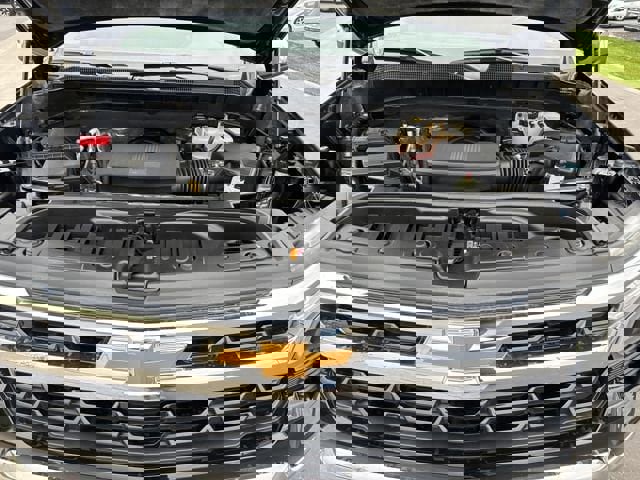 Used 2024 Chevrolet Silverado 1500 LT w/ Protection Package image 24