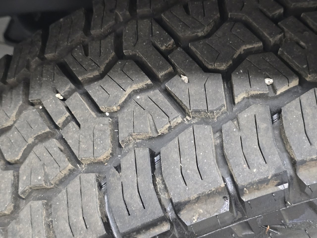 Certified 2025 Toyota Land Cruiser 1958 image 12